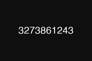 3273861243