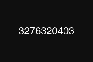 3276320403