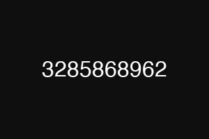 3285868962