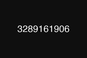 3289161906