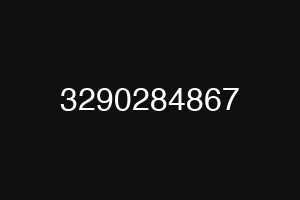 3290284867