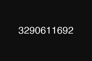 3290611692