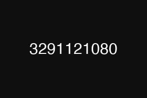 3291121080
