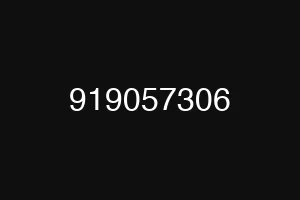 919057306